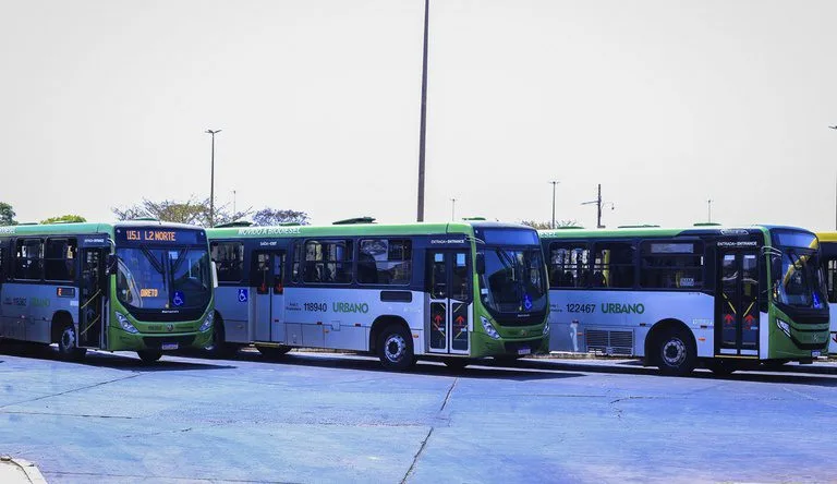 novos ônibus urbanos